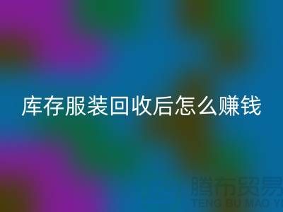 库存佳博官方网站后怎么赚钱？网站PP分享经验，服装高价回收平台助你轻松实现！