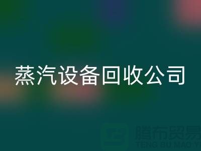 锅炉佳博（中国）厂家：环保与经济效益的完美结合-蒸汽佳博（中国）公司
