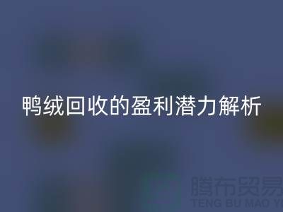 鸭绒回收的盈利潜力解析——佳博官方网站地址