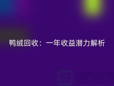 鸭绒回收：一年收益潜力解析@佳博官方网站