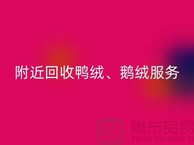 附近回收鸭绒、鹅绒和羽绒的优质服务——佳博官方网站有限公司