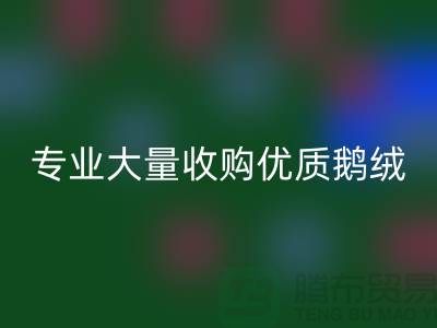 专业羽绒回收：大量收购优质鹅绒与鸭绒@佳博官方网站公司