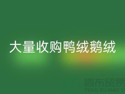 专业羽绒回收-大量收购鸭绒鹅绒-杭州佳博官方网站厂家
