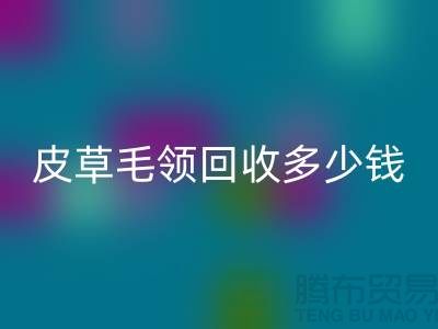 真皮皮衣皮草毛领回收多少钱一个？-佳博官方网站