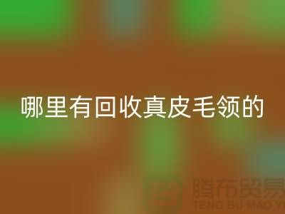 哪里有回收真皮毛领的地方-佳博官方网站有限公司