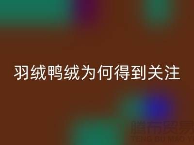 羽绒鸭绒回收公司为何得到所有人关注_佳博官方网站有限公司