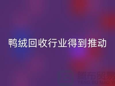 90鸭绒回收行业2021年得到极大的推动_佳博官方网站有限公司