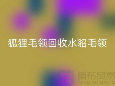 狐狸毛领回收_水貂毛领回收_大衣毛领回收_佳博官方网站有限公司
