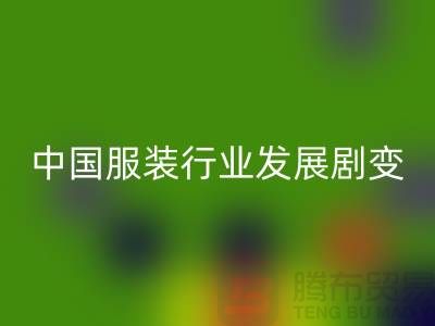 中国服装行业发展剧变-成败重要途径-上海库存佳博官方网站公司