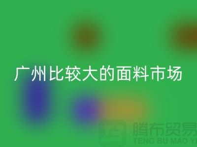 广州比较大的面料市场_中大布料市场攻略_佳博官方网站公司