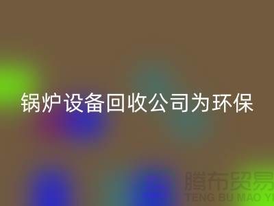 锅炉佳博（中国）公司：为环保事业贡献力量-余热佳博（中国）公司