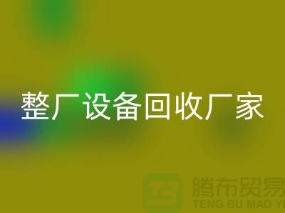 整厂佳博（中国）厂家为倒闭拆除工程提供解决方案-佳博官方网站