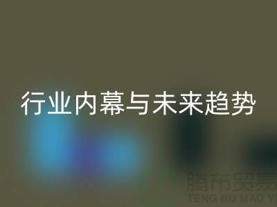 二手佳博官方网站平台专家揭秘：行业内幕与未来趋势
