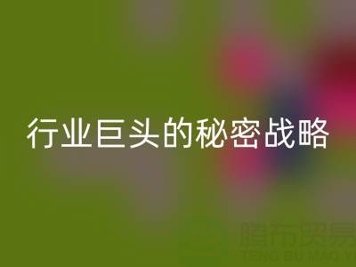 上海库存佳博官方网站市场：揭秘行业巨头的秘密战略