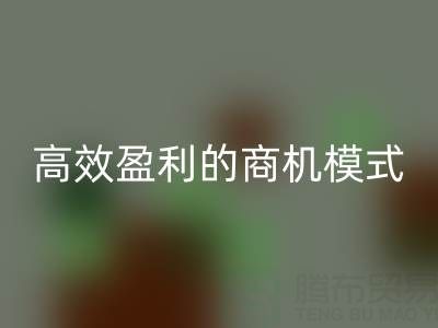 南通库存佳博官方网站策略：打造高效盈利的商机模式