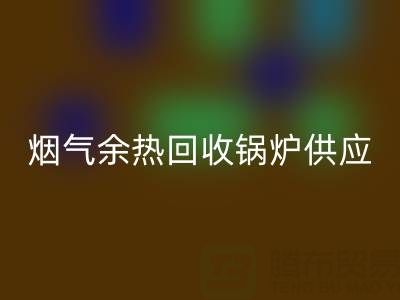 烟气余热回收锅炉供应商盘点：行业领先企业及技术解析
