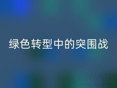 库存佳博官方网站公司：挑战与机遇并存，绿色转型中的突围战