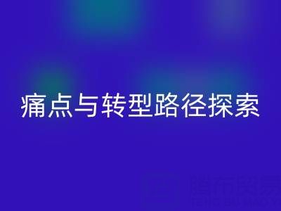 杭州库存佳博官方网站市场现状解析：痛点与转型路径探索