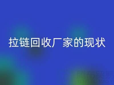 拉链回收厂家背后的环保大数据：现状与展望