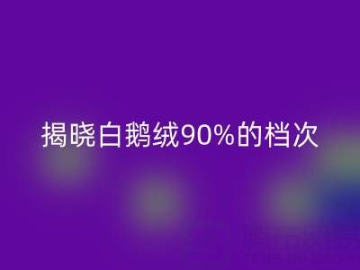 揭秘白鹅绒90%的档次与价值，探寻杭州羽绒回收奥秘