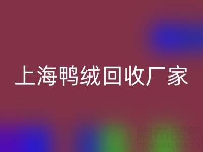 羽绒被内胆布料选购指南：上海鸭绒回收厂家的专业建议